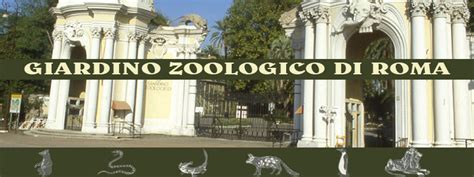 Il Giardino Zoologico di Yeng: Un paradiso per gli amanti della fauna selvatica!