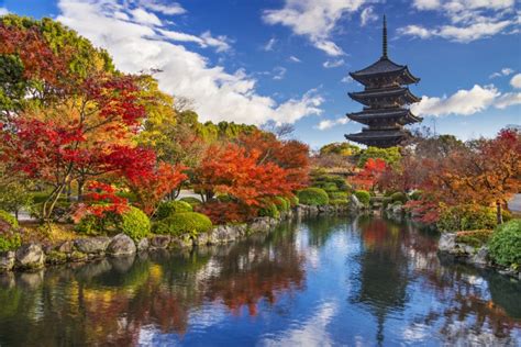 Il Toji-in: Un magnifico tempio zen immerso nel verde e una fuga dalla frenesia di Kyoto!