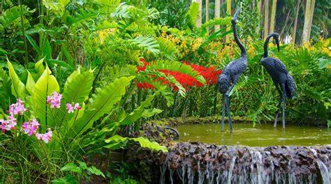 Giardino delle Orchidee: Un Paradiso Profumato di Colori Vibranti e Pace Serena!