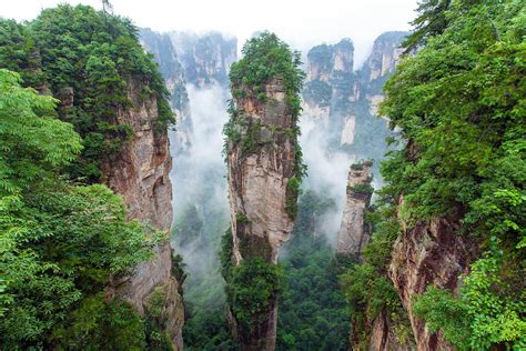 La Foresta di Pietra: Una meraviglia geologica e un rifugio per gli amanti della natura!