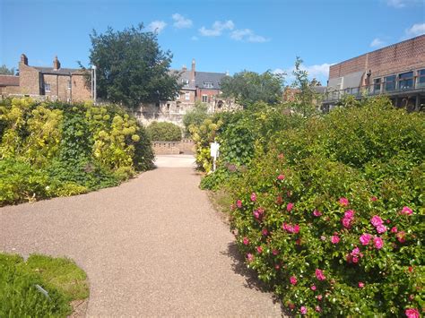 The York Museum Gardens: Un viaggio nella storia e nel verde rigoglioso!